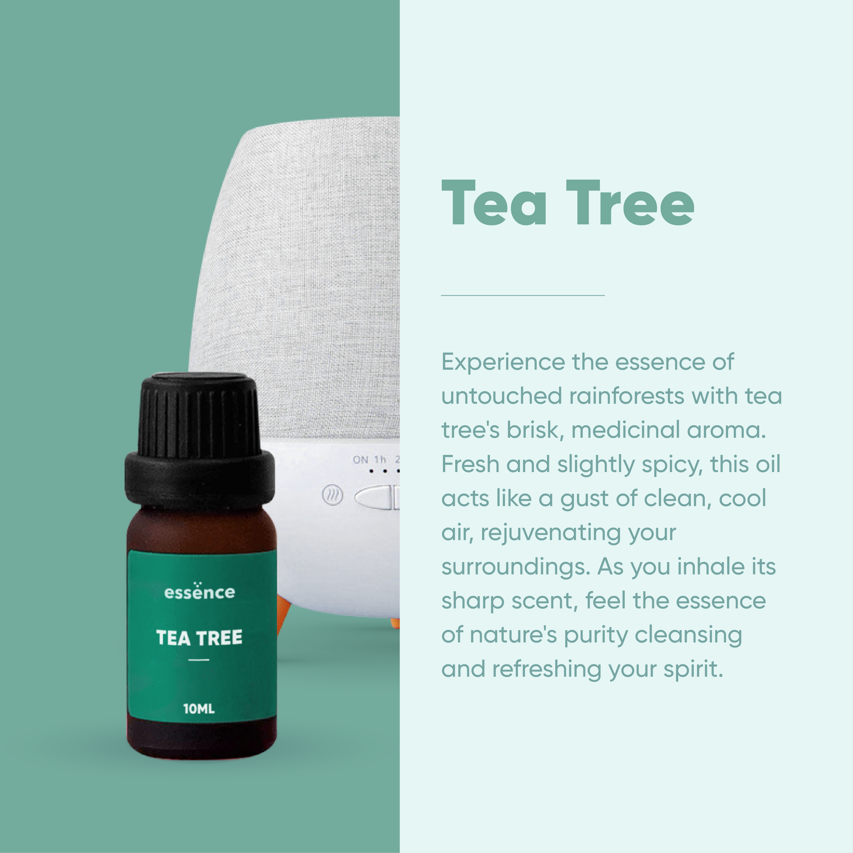 Tea Tree